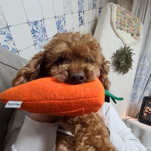 베스트 후기 이미지