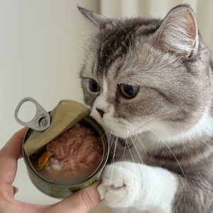 베스트 후기 이미지