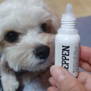[체험단] 베픈 반려동물 전용 인공눈물 15ml 베스트 후기 이미지
