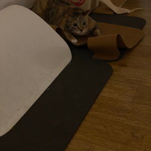 베스트 후기 이미지