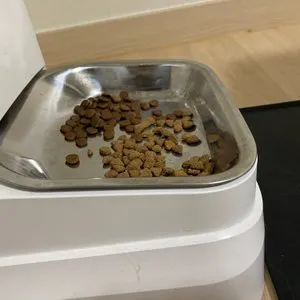 베스트 후기 이미지