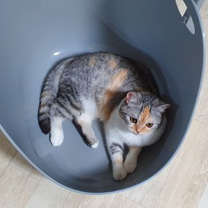 베스트 후기 이미지