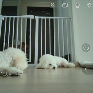 베스트 후기 이미지