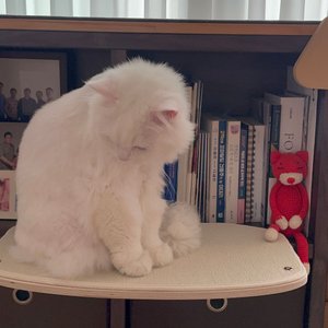 베스트 후기 이미지