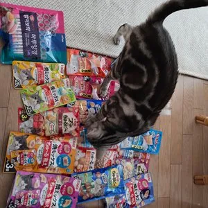 베스트 후기 이미지