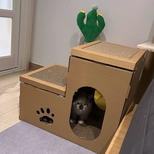 베스트 후기 이미지