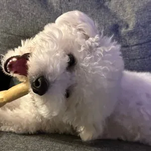 베스트 후기 이미지