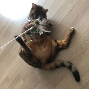 베스트 후기 이미지