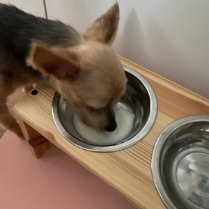 베스트 후기 이미지