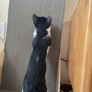 베스트 후기 이미지