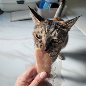 베스트 후기 이미지