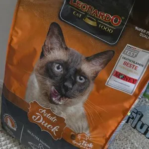 베스트 후기 이미지