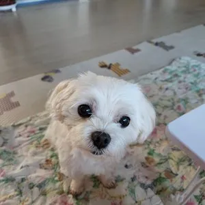 베스트 후기 이미지