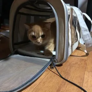 베스트 후기 이미지