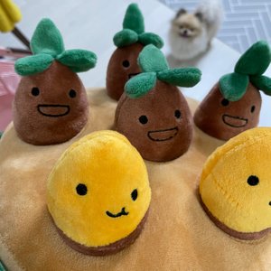 베스트 후기 이미지
