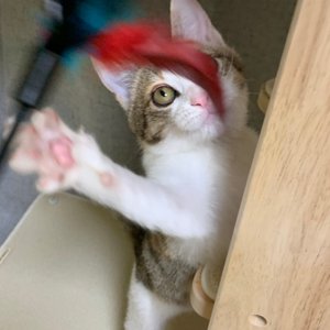 베스트 후기 이미지
