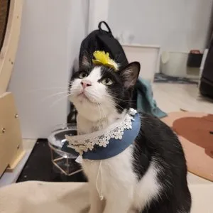 베스트 후기 이미지