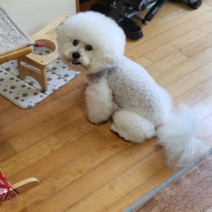베스트 후기 이미지