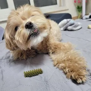 베스트 후기 이미지