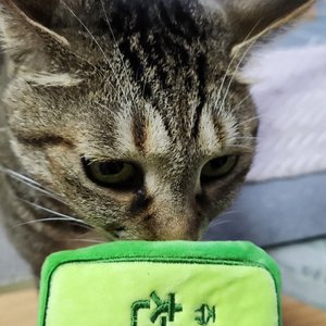 베스트 후기 이미지