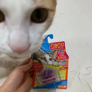 베스트 후기 이미지