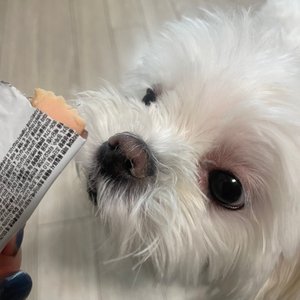 베스트 후기 이미지