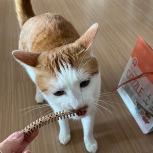베스트 후기 이미지