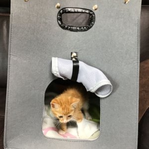베스트 후기 이미지