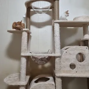 베스트 후기 이미지