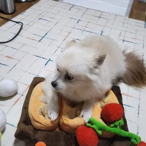 베스트 후기 이미지