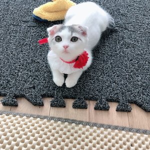 베스트 후기 이미지