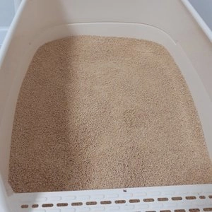 월드베스트 오리지널 클럼핑 6.35kg 베스트 후기 이미지