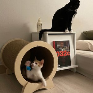 베스트 후기 이미지