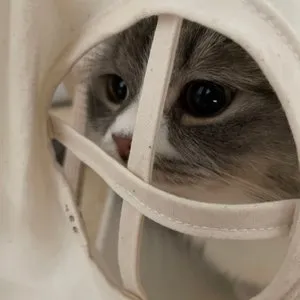 베스트 후기 이미지