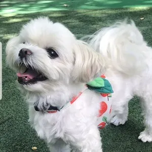 베스트 후기 이미지