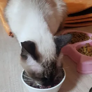 베스트 후기 이미지