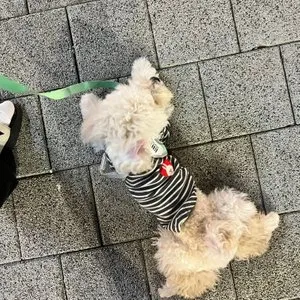 베스트 후기 이미지