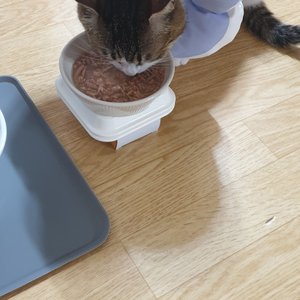 베스트 후기 이미지