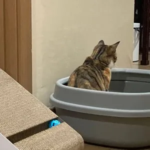 베스트 후기 이미지