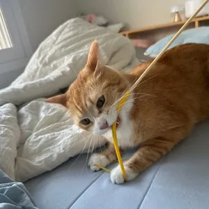 베스트 후기 이미지