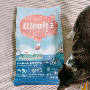 웰츠 캣 연어 모음 베스트 후기 이미지