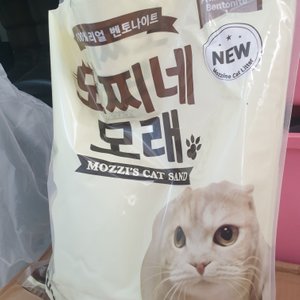 베스트 후기 이미지