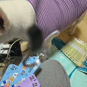 베스트 후기 이미지