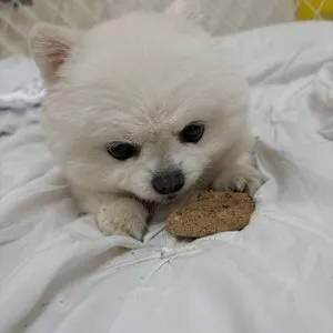 베스트 후기 이미지