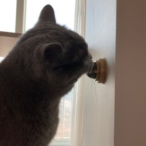 베스트 후기 이미지