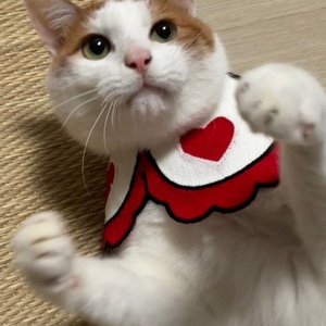 베스트 후기 이미지