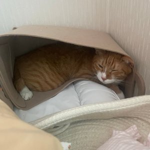 베스트 후기 이미지