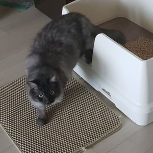 베스트 후기 이미지