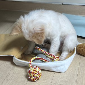 베스트 후기 이미지