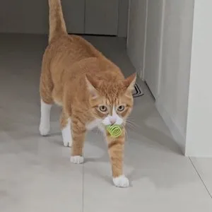 베스트 후기 이미지